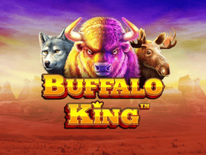 Logo of Buffalo King