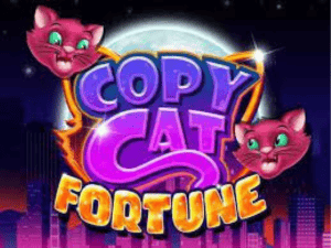 Banner of Copy Cat Fortune
